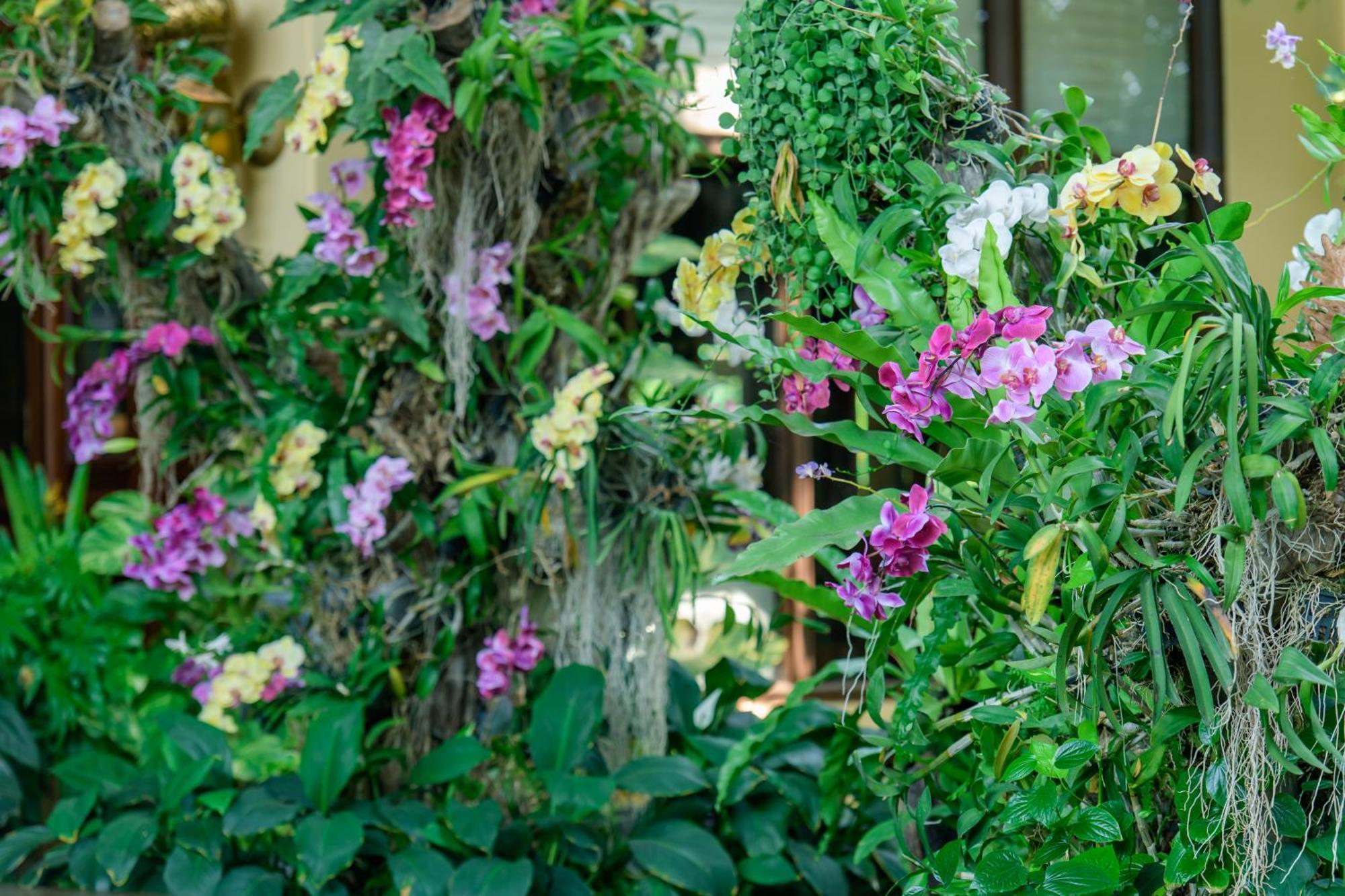 Angkor Palace Resort & Spa Siem Reap Bagian luar foto